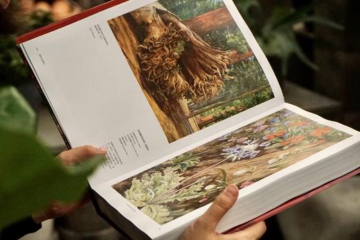 花朵与探险：玛丽安娜·诺斯的艺术世界，一座纸上的植物园，看尽世界奇珍异幻的花草树木 画册 商品图3