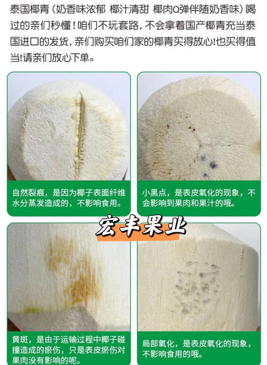宏丰精选  泰国功夫椰青 口感清甜 活动价12.8一个 商品图3