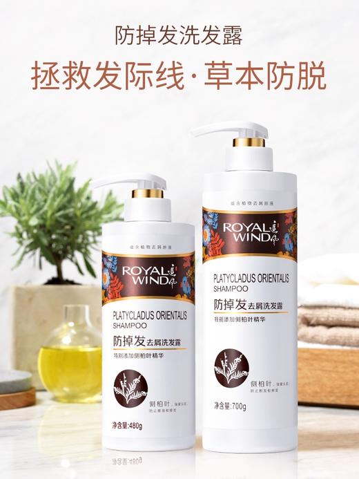 追风 追风防掉发去屑洗发露700g/480g 商品图1