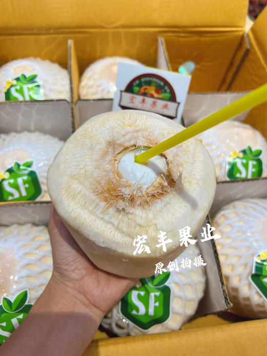 宏丰精选  泰国功夫椰青 口感清甜 活动价12.8一个 商品图1