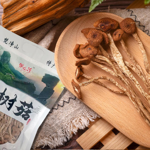 铜仁碧江【梵净山茶树菇】200g  菌肉厚实 菌柄匀称  全国包邮（部分地区不发货） 商品图4