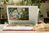 花朵与探险：玛丽安娜·诺斯的艺术世界，一座纸上的植物园，看尽世界奇珍异幻的花草树木 画册 商品缩略图2