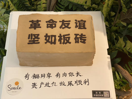 革命友谊坚如板砖 商品图1