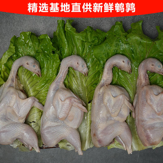 厦门老字号味正蜜汁鹌鹑 商品图3