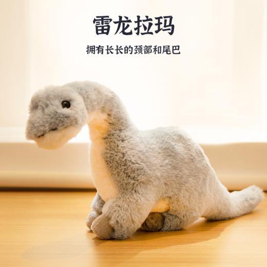 恐龙系列毛绒玩具 柔软陪伴 治愈温暖 玩偶公仔礼物 商品图3