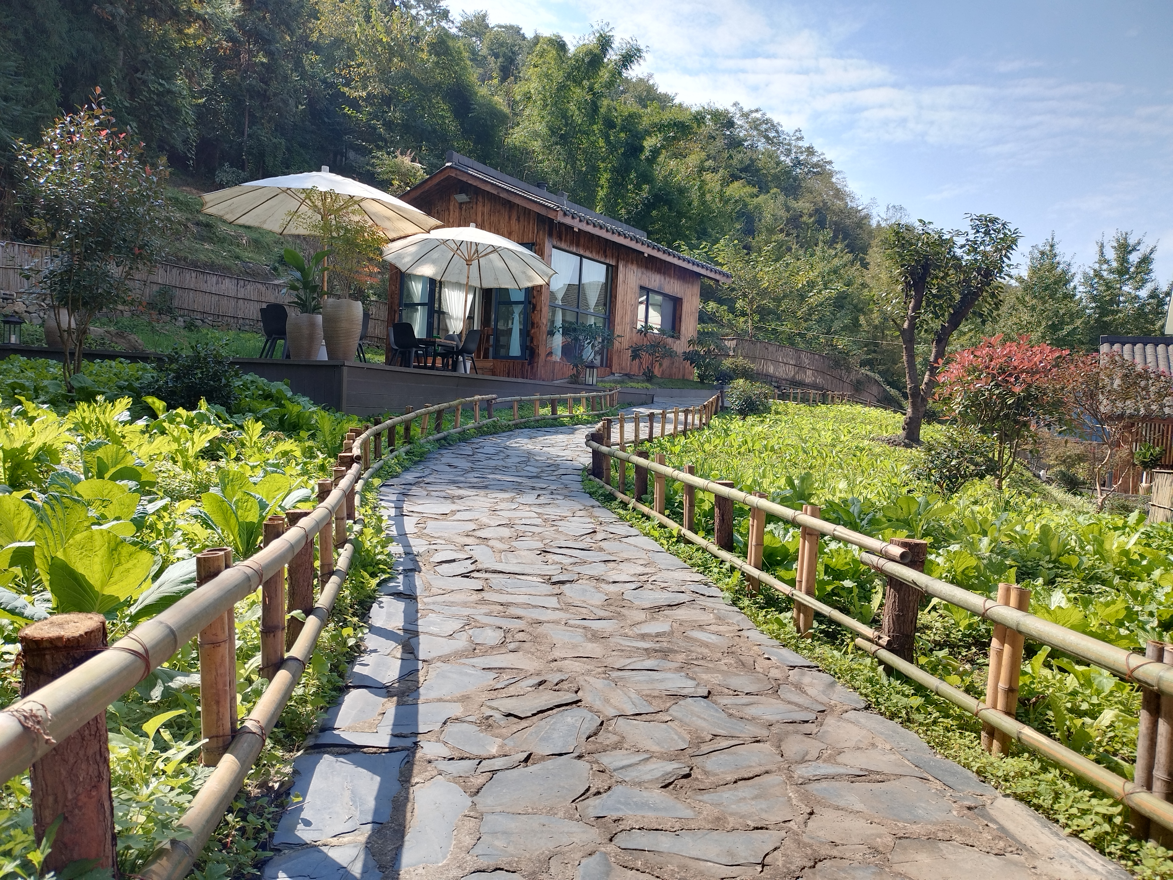 【彭州·417号院】3房山野小院，龙门山下、柒村赏花、临溪玩水、带暖气、超大庭院花园，家庭聚会烧烤度假之旅YHXY