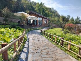 【彭州·417号院】3房山野小院，龙门山下、柒村赏花、临溪玩水、带暖气、超大庭院花园，家庭聚会烧烤度假之旅YHXY