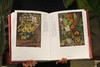 花朵与探险：玛丽安娜·诺斯的艺术世界，一座纸上的植物园，看尽世界奇珍异幻的花草树木 画册 商品缩略图5