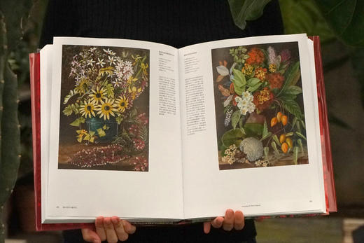 花朵与探险：玛丽安娜·诺斯的艺术世界，一座纸上的植物园，看尽世界奇珍异幻的花草树木 画册 商品图5