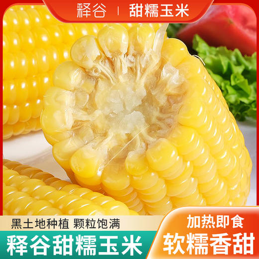 释谷 甜糯玉米 8穗/箱&10穗/箱&12穗/箱 商品图0