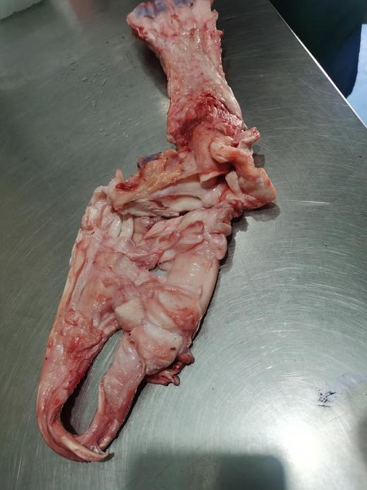 【预售】牛蹄筋（500g） 商品图2