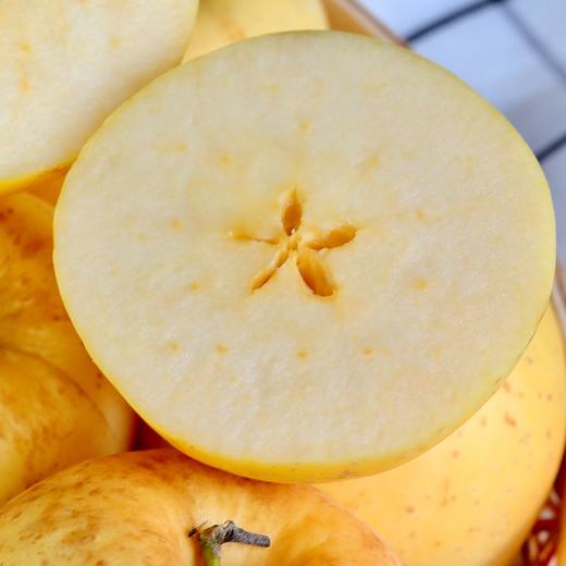 【果蔬精选】山东•黄金维纳斯苹果 日本引进品种 口味几乎纯甜 金黄诱人 香味浓郁 产自山东半岛临海丘陵山核心果区 商品图1