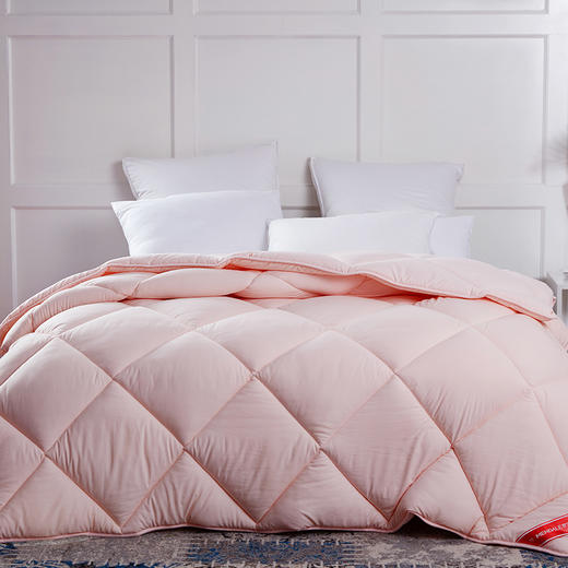梦洁 悦享十孔双人冬被（粉） 200*230 2000g 商品图1