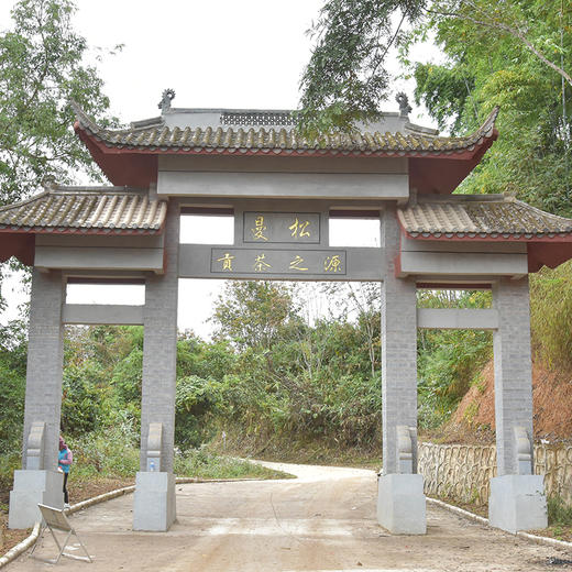 【曼松黄金砖】一杯横跨两年韵味，云南普洱茶生茶茶砖曼松王子山1200年古树2021年、2022年两年春茶250g/砖 商品图8