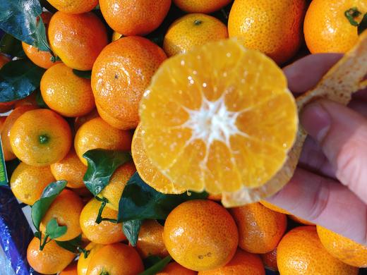 沙糖橘一斤（拼团） 商品图3