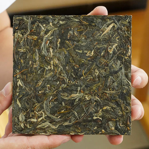 【曼松黄金砖】一杯横跨两年韵味，云南普洱茶生茶茶砖曼松王子山1200年古树2021年、2022年两年春茶250g/砖 商品图5