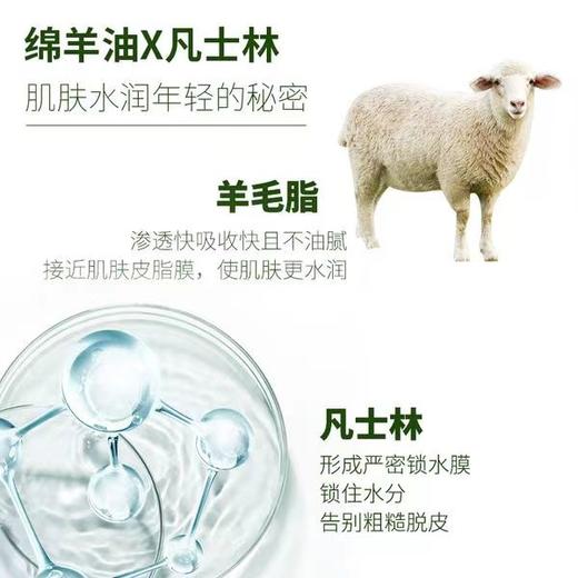 【秒杀】正彩凡士林绵羊油保湿霜补水保湿140g 商品图3