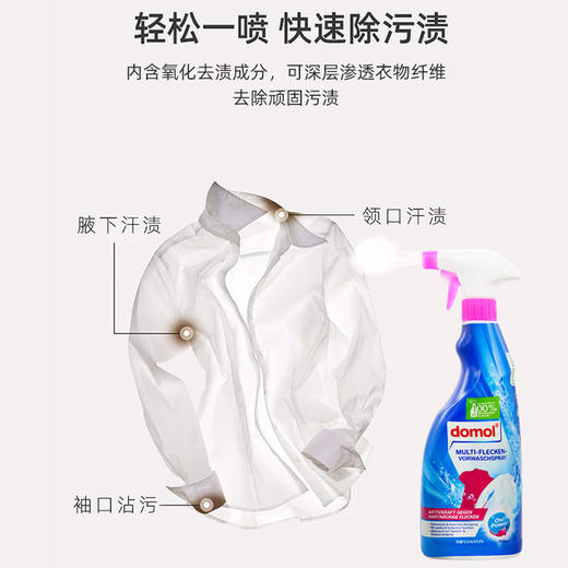 【中欧班列精选】德国衣领净去污喷雾 原装进口ROSSMANN/domol 衣领净去污去黄预洗喷雾750ml/瓶 商品图6