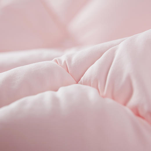 梦洁 悦享十孔双人冬被（粉） 200*230 2000g 商品图4