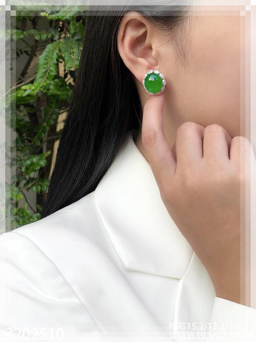 老坑帝王绿蛋面耳钉【2202510】具体价格微信咨询 商品图4