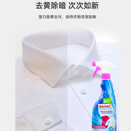 【中欧班列精选】德国衣领净去污喷雾 原装进口ROSSMANN/domol 衣领净去污去黄预洗喷雾750ml/瓶 商品图8