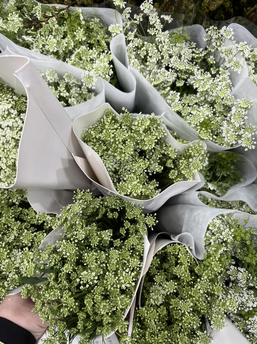 国产花材-【蕾丝】 商品图0