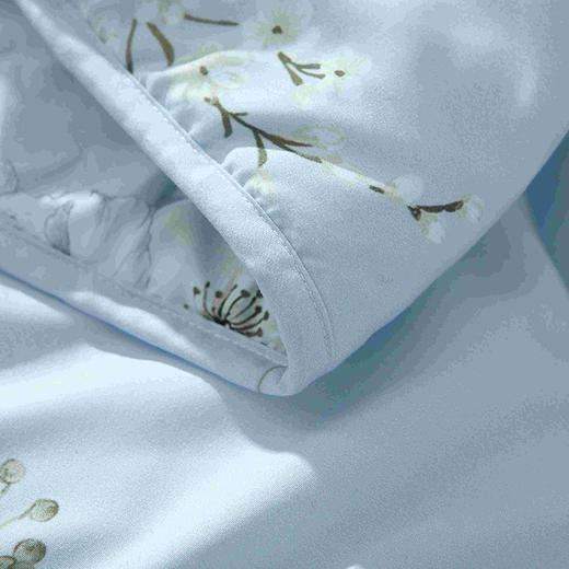 梦洁 舒柔夏被：兰馨 150*200 240g 商品图2