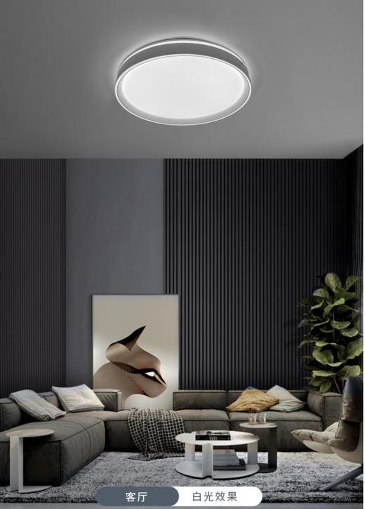 照云-吸顶灯 商品图2