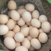 云阳土鸡蛋，梅峰土鸡蛋，一件50个，125元普通地区包邮 商品缩略图1