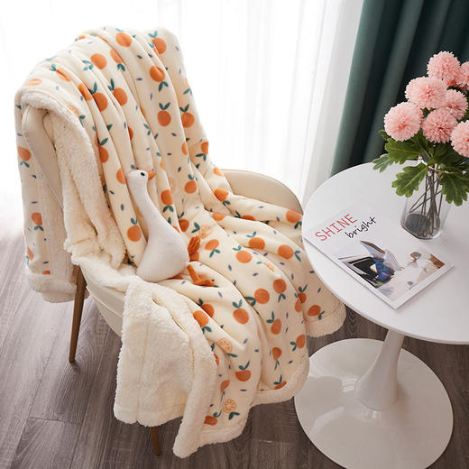 HM-T020 2022新款羊羔绒毛毯双层加厚 盖毯冬季午睡牛奶绒小被子 商品图2