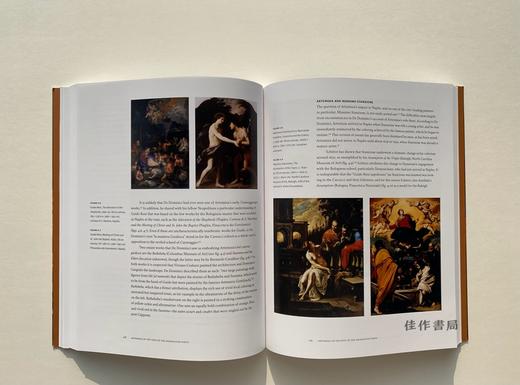 Artemisia Gentileschi: The Language of Painting/阿特米西亚·詹蒂莱斯基：绘画的语言 意大利巴洛克女画家 商品图1