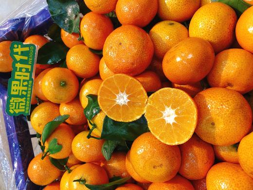 沙糖橘一斤（拼团） 商品图1