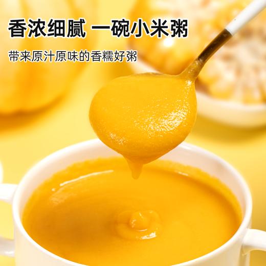 营养早餐小米南瓜玉米粥糊代餐粉粥冲饮早餐粗杂粮食品 商品图2