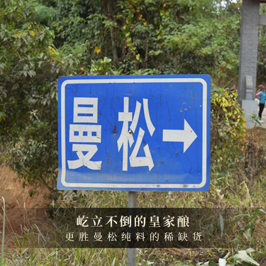 【曼松黄金砖】一杯横跨两年韵味，云南普洱茶生茶茶砖曼松王子山1200年古树2021年、2022年两年春茶250g/砖 商品图2