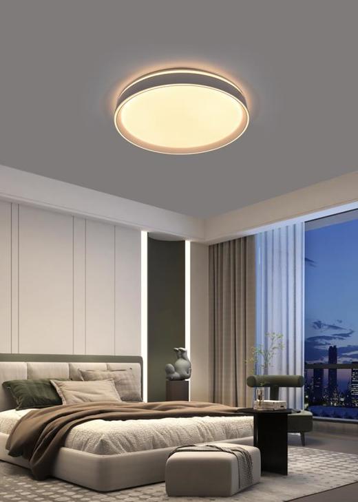 照云-吸顶灯 商品图0