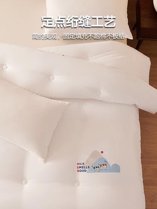 【下架】自然醒元气奶养肤被牛奶蛋白美容冬被加厚保暖棉被褥春秋被双人四季通用LFS 商品图7