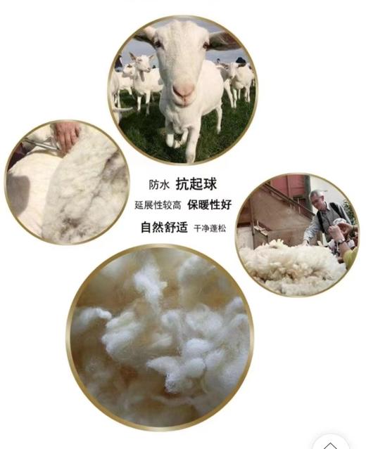 兰花花女士羊毛裤 商品图2