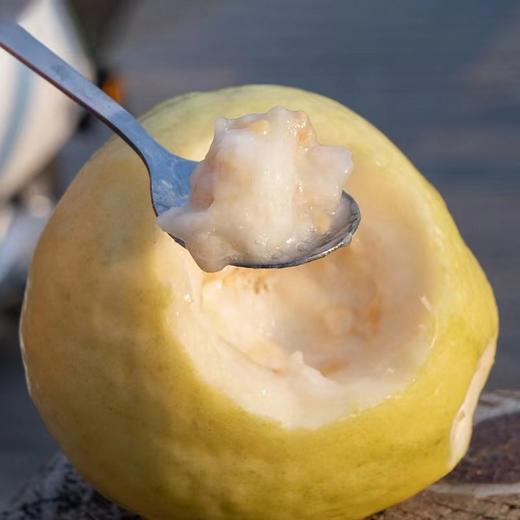 福建 · 奶油芭乐/红心芭乐 · 丝滑细腻 · 低糖清甜 · 老少皆宜 商品图1