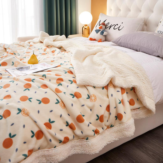 HM-T020 2022新款羊羔绒毛毯双层加厚 盖毯冬季午睡牛奶绒小被子 商品图0
