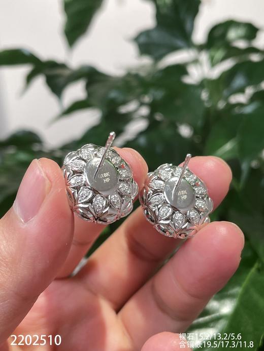 老坑帝王绿蛋面耳钉【2202510】具体价格微信咨询 商品图7