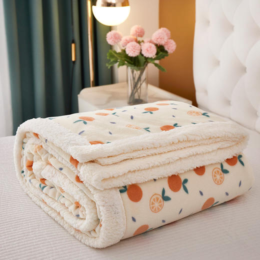 HM-T020 2022新款羊羔绒毛毯双层加厚 盖毯冬季午睡牛奶绒小被子 商品图3