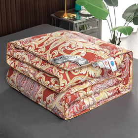 【爆款超低价预售 急单慎拍】出口正品新款羽绒被白鹅绒被羽丝绒春秋冬被芯加厚保暖被子冬季