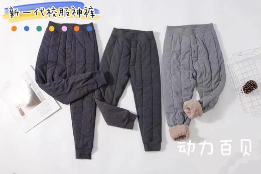 动力百贝6011打底裤（3） 商品图0