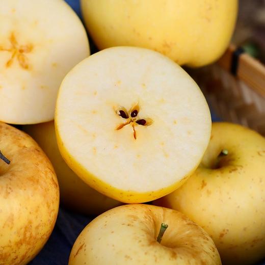 【果蔬精选】山东•黄金维纳斯苹果 日本引进品种 口味几乎纯甜 金黄诱人 香味浓郁 产自山东半岛临海丘陵山核心果区 商品图0