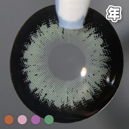 #波斯菊  棕/紫/粉/绿  超大染色直径 霸王花2代【1片装】舒适推荐 / 年抛 商品图5