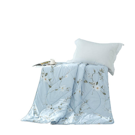 梦洁 舒柔夏被：兰馨 150*200 240g 商品图5