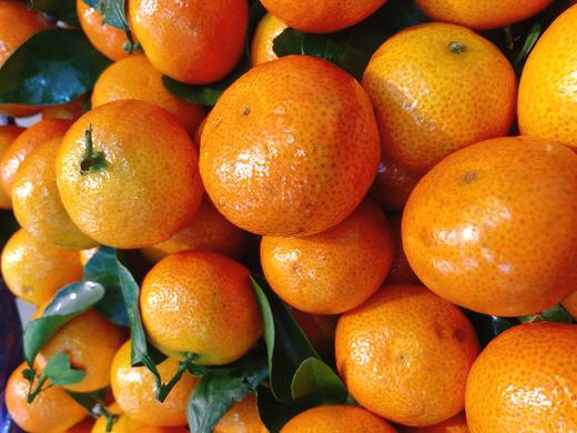 沙糖橘一斤（拼团） 商品图0