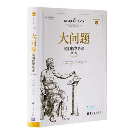 【美】所罗门《大问题：简明哲学导论》 商品图0