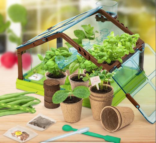 CALLPLAY科答鸭阳光种植房盆栽科学实验生长观察窗  XHR 商品图1