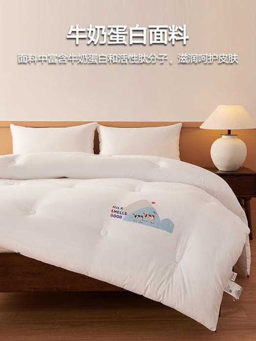 【下架】自然醒元气奶养肤被牛奶蛋白美容冬被加厚保暖棉被褥春秋被双人四季通用LFS 商品图4